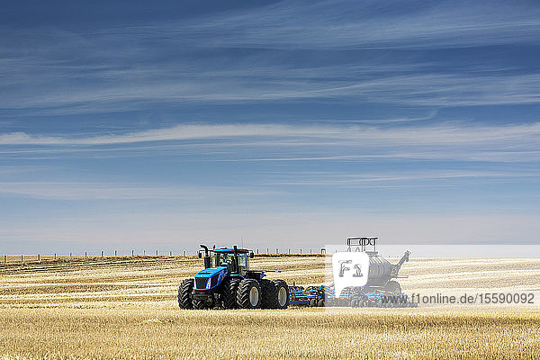 Tractor with air seeder  seeding a stubble field with blue sky and hazy clouds  near Beiseker; Alberta  Canada