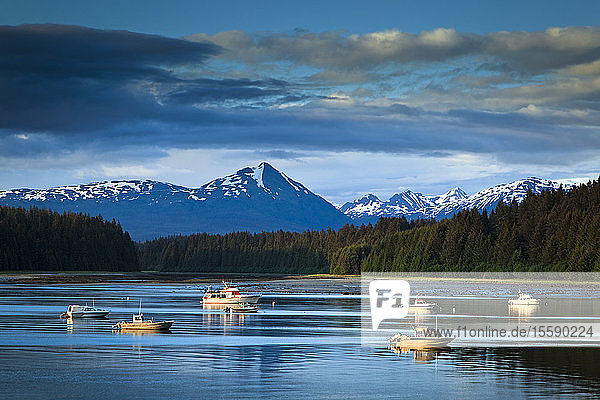 Abendliche Aussicht auf Bartlett Cove und vertäute Fischerboote  Glacier Bay National Park & Preserve  Südost-Alaska  Sommer