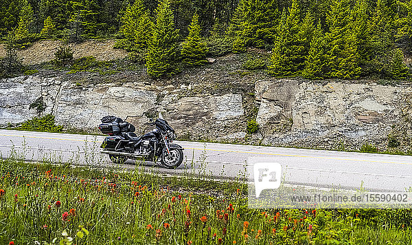 Motorcycle parked on the roadside Icefield Parkway; Improvement District No. 12 Alberta Canada