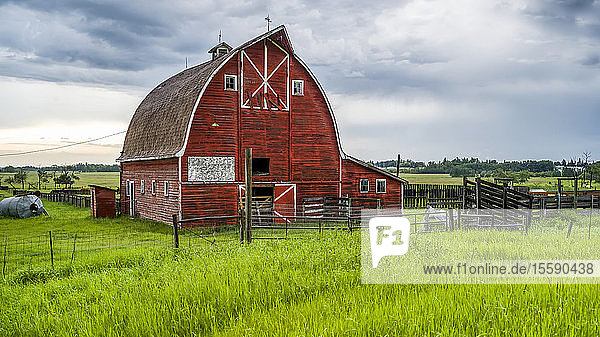 Red barn in the Alberta prairies Camrose County; Alberta Canada