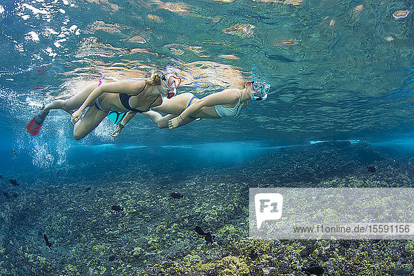 Zwei junge Frauen beim Freitauchen über einem Korallenriff; Hawaii  Vereinigte Staaten von Amerika