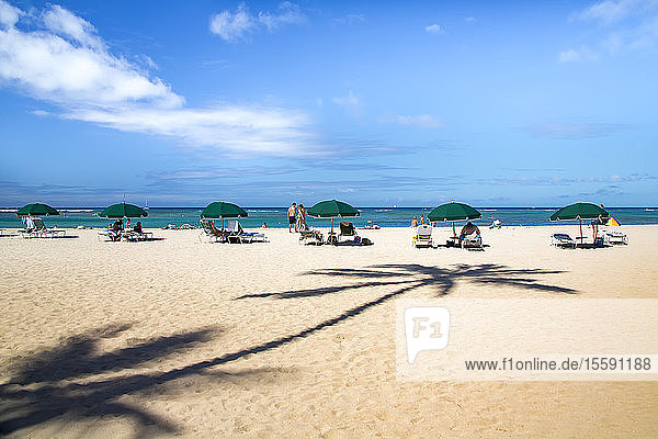 Umbrellas  tourists and the shadow of a palm tree on Waikiki Beach; Oahu  Hawaii  United States of America
