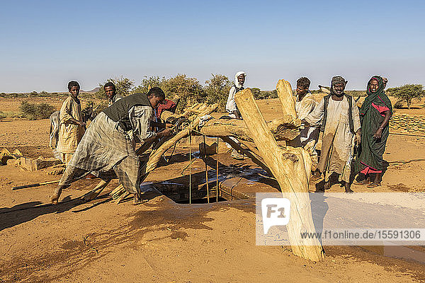 Nomaden und ihre Tiere holen Wasser aus dem alten Brunnen  der 1905 gebaut wurde; Naqa  Northern State  Sudan