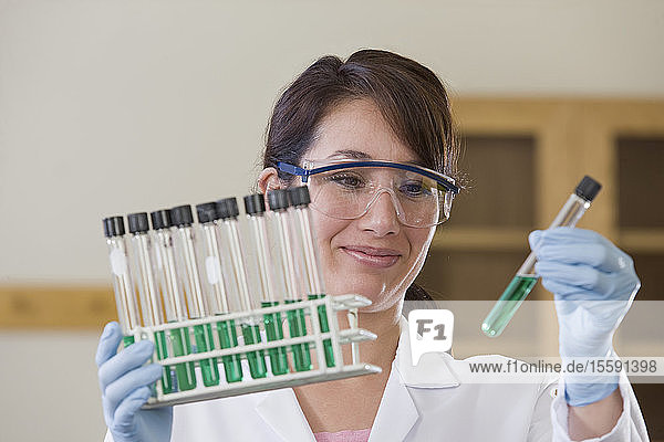 Labortechniker bei der Analyse einer Probe im Reagenzglas