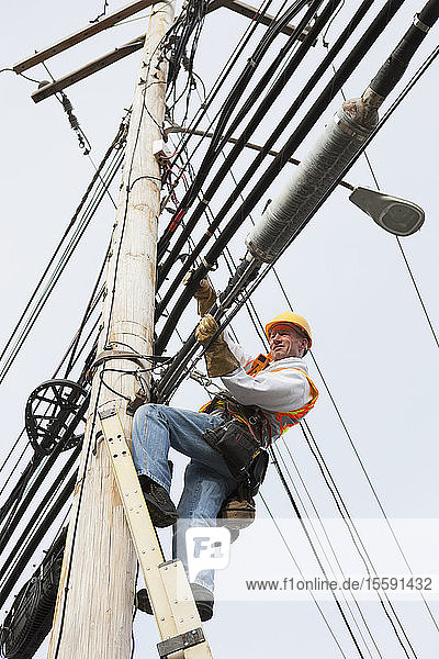 Mitarbeiter der Kommunikationsbranche beim Verlegen eines neuen Kabels am Strommast