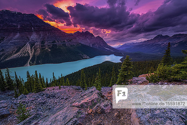 Peyto Lake unter dramatischem Himmel  Banff National Park; Alberta  Kanada