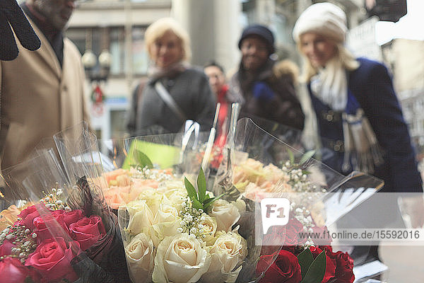 People shopping for flowers at outdoor stand  Boston  Suffolk County  Massachusetts  USA