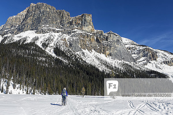 Wanderin auf schneebedecktem Feld mit schneebedeckten Bergen und blauem Himmel im Hintergrund; Field  British Columbia  Kanada
