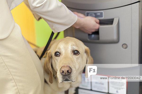 Junge blinde Frau  die mit ihrem Diensthund an einem Bankautomaten wartet