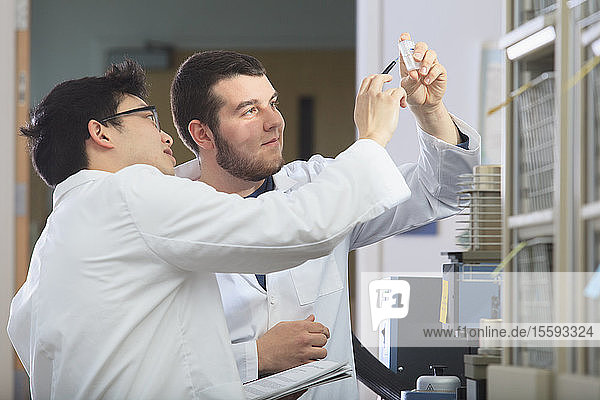 Engineering students looking at reference samples for thermogravimetric analyzer in chemistry laboratory