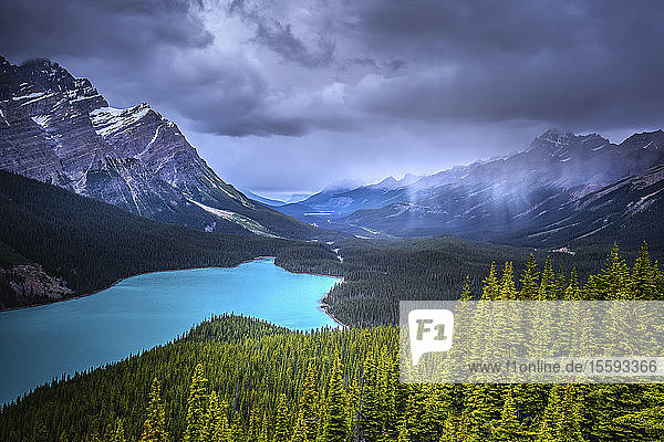 Regen über dem Peyto Lake  Banff National Park; Alberta  Kanada