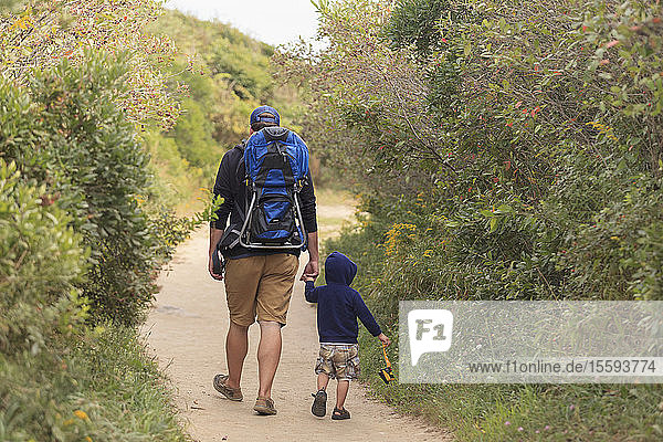 Rückansicht eines Mannes  der mit seinem Sohn spazieren geht