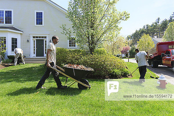 Landschaftsgärtner beseitigen Unkraut in einem Hausgarten und tragen es in einer Schubkarre weg