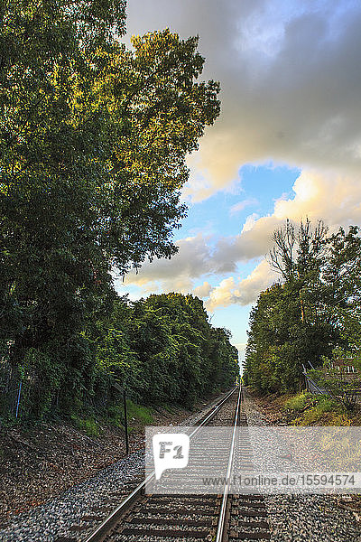 Commuter railroad track in Needham