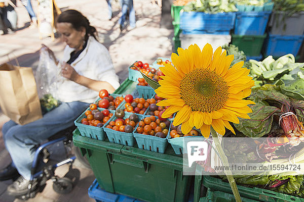 Frau mit Querschnittslähmung sitzt im Rollstuhl und kauft auf einem Markt für Sonnenblumen ein