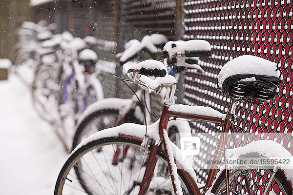 Mit Schnee bedeckte Fahrräder  Beacon Hill  Boston  Suffolk County  Massachusetts  USA