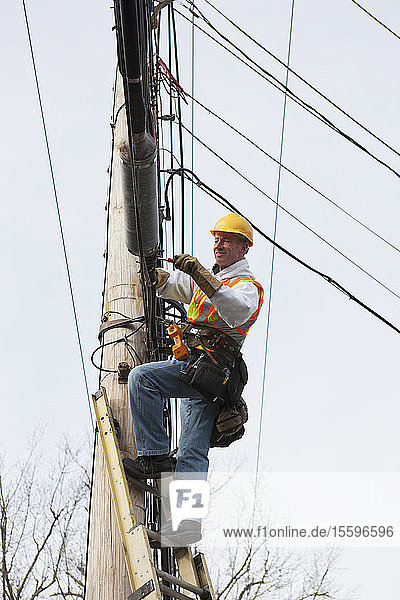Communications worker attaching clamps to new cable bundle on power pole