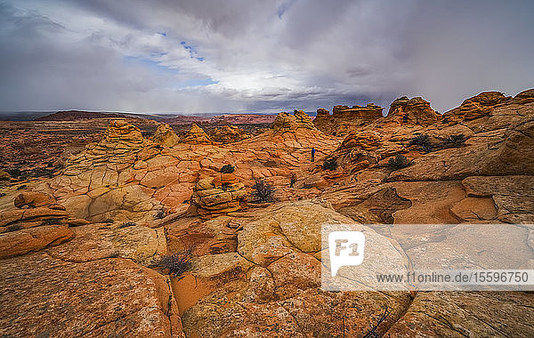 Die erstaunlichen Sandstein- und Felsformationen von South Coyote Butte; Arizona  Vereinigte Staaten von Amerika