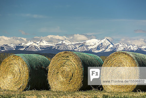 Three large wrapped hay bales with snow-covered mountain range blue sky and clouds in the background  West of Calgary; Alberta  Canada