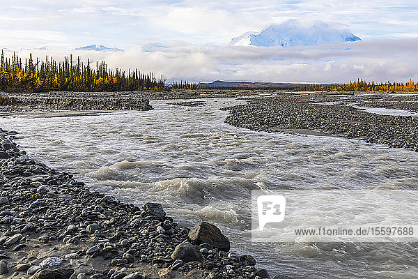 Der Denali erhebt sich im Herbst über den Muddy River  Denali National Park and Preserve; Alaska  Vereinigte Staaten von Amerika
