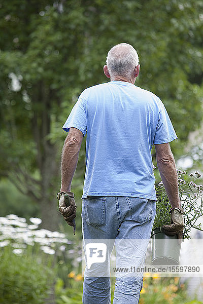 Ein älterer Mann bereitet sich darauf vor  Blumen in seinem Garten zu pflanzen