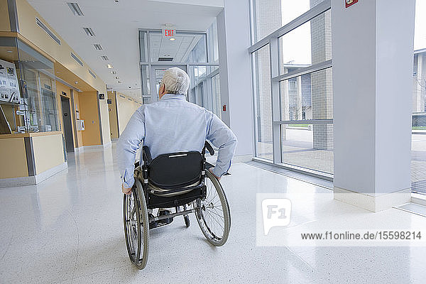 Rückansicht eines Professors mit Muskeldystrophie  der in einem Rollstuhl sitzt