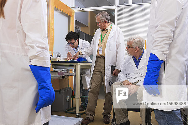 Professoren im Gespräch mit Studenten der Ingenieurwissenschaften  die Schutzhandschuhe aus flüssigem Stickstoff tragen und das Logbuch des Chemielabors überprüfen