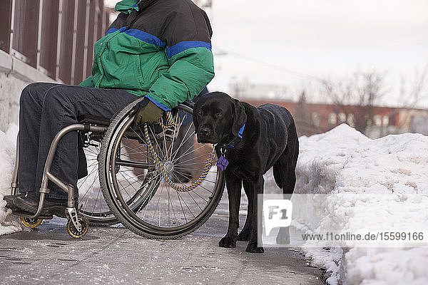Frau mit Multipler Sklerose im Rollstuhl mit einem Diensthund im Winterschnee