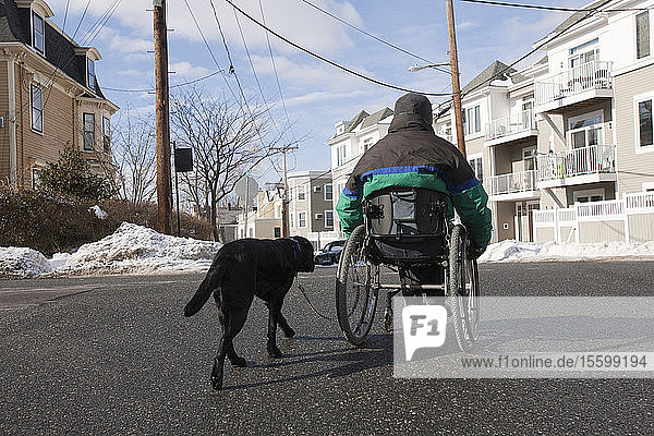 Frau mit Multipler Sklerose in einem Rollstuhl mit einem Diensthund beim Überqueren einer Straße im Winter
