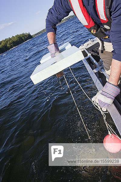Scientist pulling up a buoy attached to an algae sample