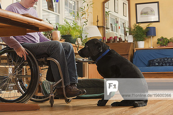 Frau mit Multipler Sklerose im Rollstuhl mit Diensthund an ihrer Seite
