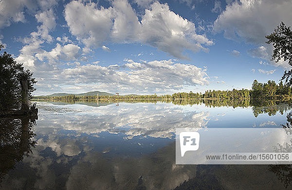 Spiegelung der Wolken im Lake Umbagog  New Hampshire  USA