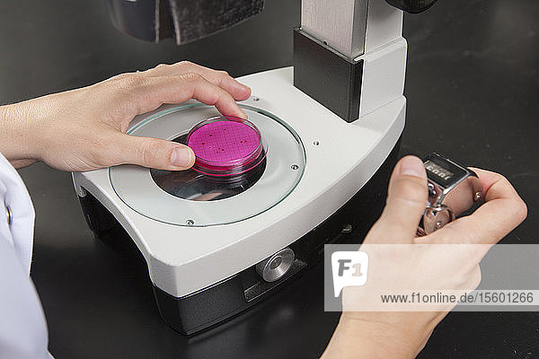 Laborwissenschaftler mit Mikroskop zur Untersuchung einer Bakterienkultur im Wasseraufbereitungslabor mit Zähler