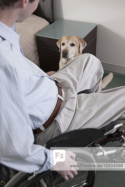 Mann im Rollstuhl mit einer Rückenmarksverletzung mit einem Diensthund im Schlafzimmer