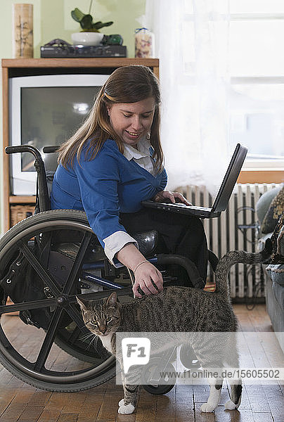 Geschäftsfrau mit Spina bifida im Rollstuhl  die zu Hause einen Laptop benutzt und eine Katze streichelt