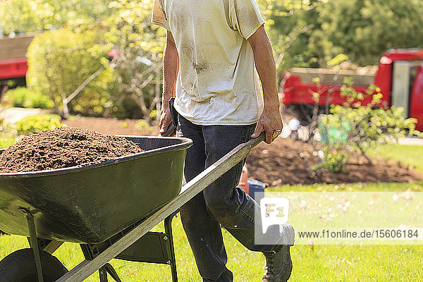 Landschaftsgärtner trägt Mulch in einer Schubkarre in einen Garten