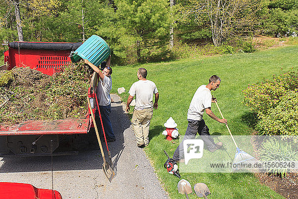 Landschaftsgärtner  die Unkraut entfernen und es in einen Lastwagen entleeren