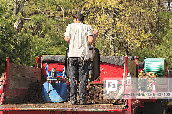 Landschaftsgärtner holt Mulch in einer Schubkarre von einem Lastwagen