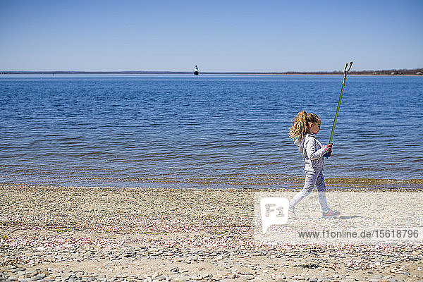 Girl walking with mechanical grabber during Earth Day beach cleanup  Portsmouth  Rhode Island  USA
