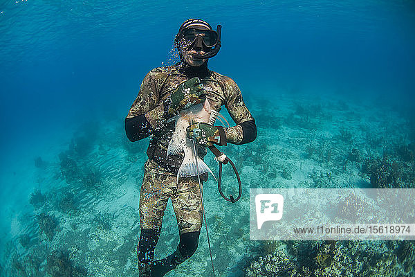 Vorderansicht eines Tauchers  der beim Speerfischen einen gefangenen Schleimaal unter Wasser hält  Clarence Town  Long Island  Bahamas