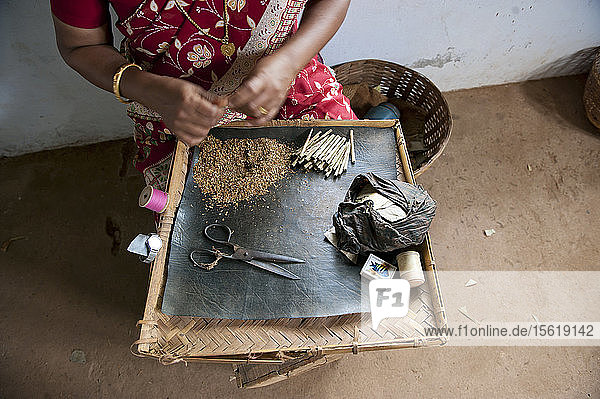 Frauen arbeiten in einer Zigarettenfabrik (Bidi oder Biri) in der Nähe von Kannur  Kerala  Indien.