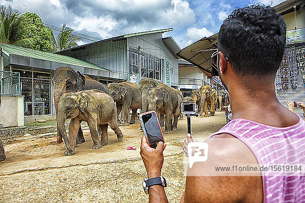 Touristen beim Betrachten des Elefantenbads  Pinnawela Elefantenwaisenhaus für wilde asiatische Elefanten