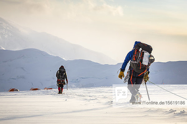 Rear view of two mountain climbers returning to camp on glacier  Denali National Park  Alaska  USA