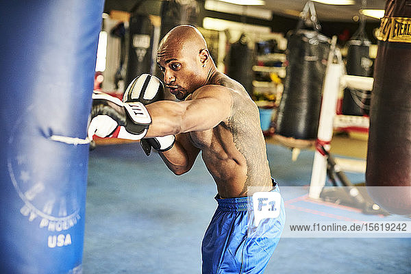 Männlicher Boxer beim Training im Fitnessstudio mit Boxsack  Taunton  Massachusetts  USA