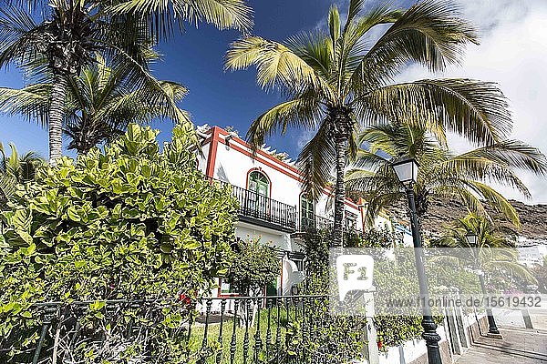 Traditionelles gran-kanarisches Haus mit Palme auf Gran Canaria  Kanarische Inseln  Spanien