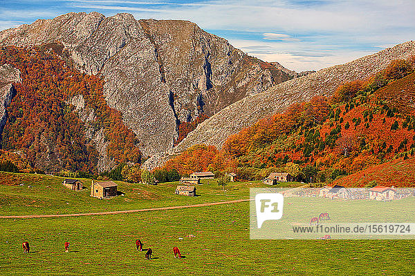 Der Naturpark von Redes. Asturien. Bra?ï¿½agallones im Naturpark von Redes. Asturien