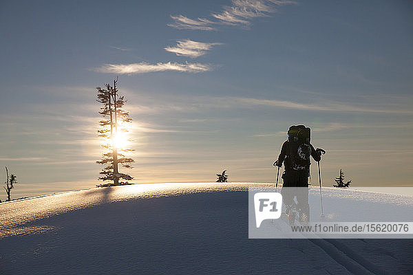 Skitouren durch frischen Schnee im Garibaldi Provincial Park  British Columbia  Kanada
