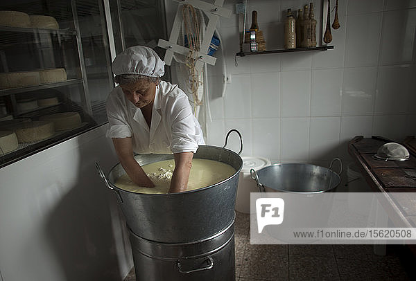 Eine Frau bei der Herstellung von Pecorino-Käse in der handwerklichen Käserei von Quesos Oliva in Villaluenga del Rosario  Naturpark Sierra de Grazalema  Provinz Cádiz  Andalusien  Spanien