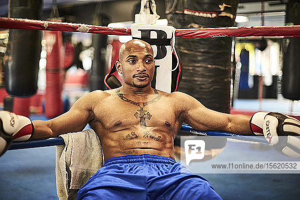 Male boxer resting in boxing ring corner  Taunton  Massachusetts  USA