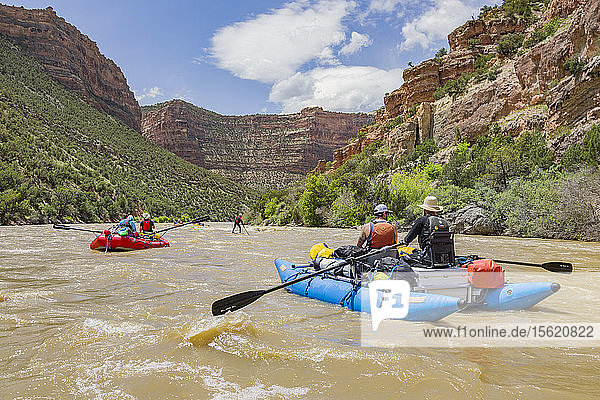 Group Of Rafters On Yampa And Green Rivers Through Dinosaur National Monument